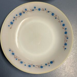 Termocrisa vintage milk glass soup/salad bowl. White with blue and brown floral